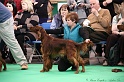 Crufts2011 280